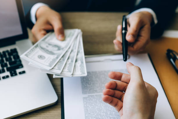 Best Credit Repair Services  in Ripley, TN